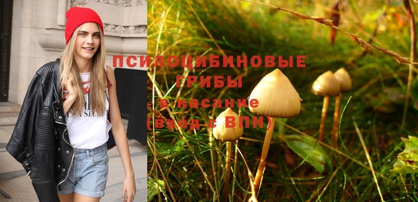 бошки Нефтегорск